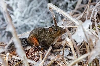 恐怖游戏《宇宙恐惧》Steam页面上线 明年发售